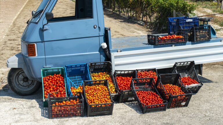 Small italian apo truck with tomatoes. Farmer sale tomatoes on t